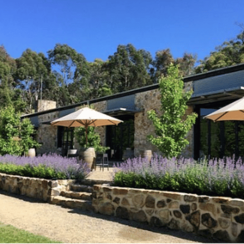 Go On A Wine & Dine Safari At Golding Wines 7 May 2023