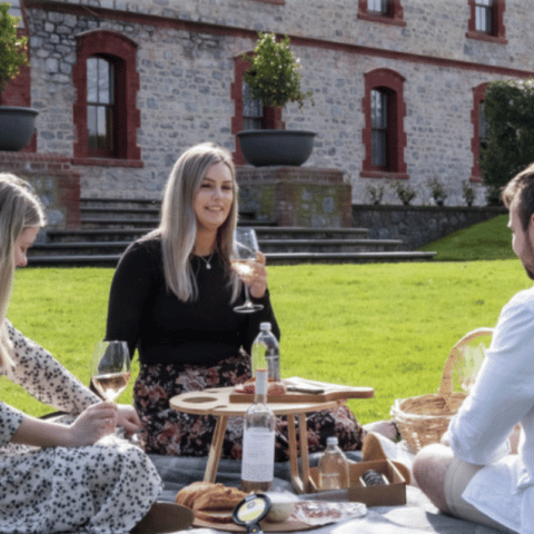 The Yummiest Pick is the Yalumba Great Picnic 22-23 April 2023